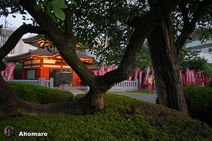 写真00