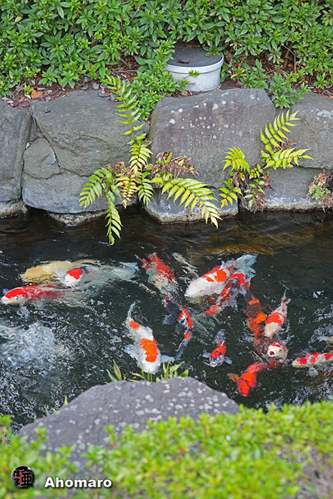 写真00