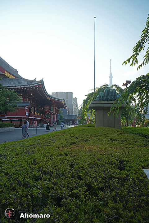 写真00