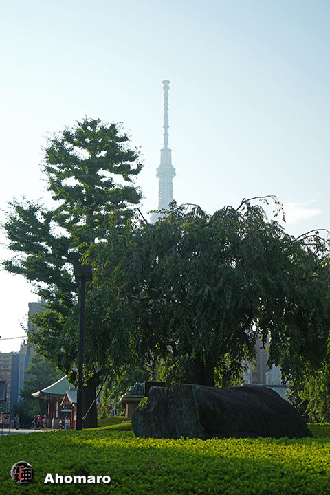 写真00