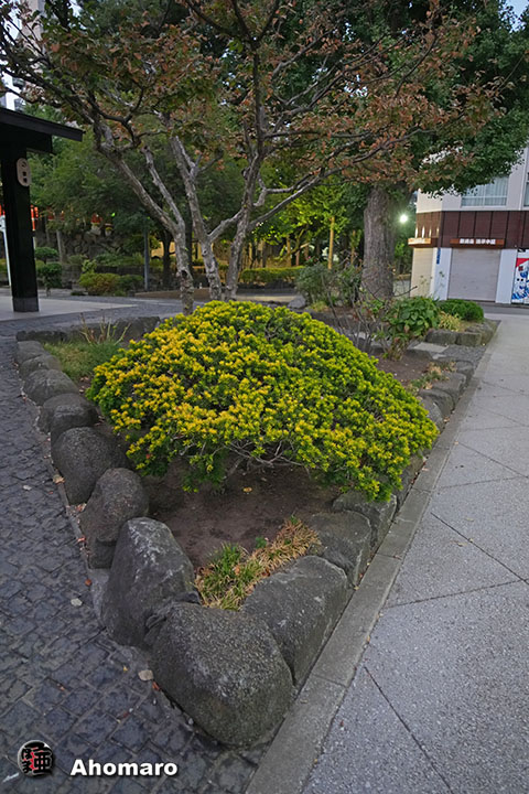 写真00