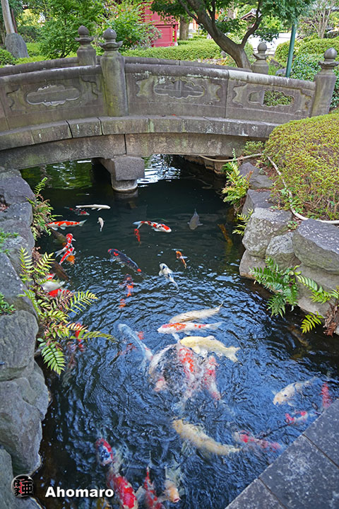 写真00