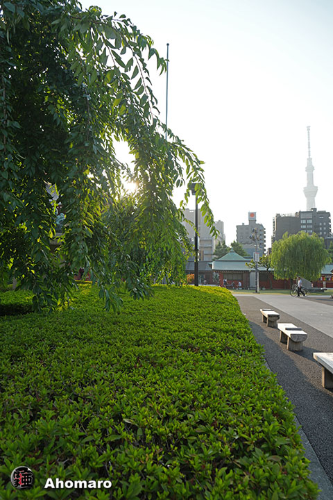 写真00