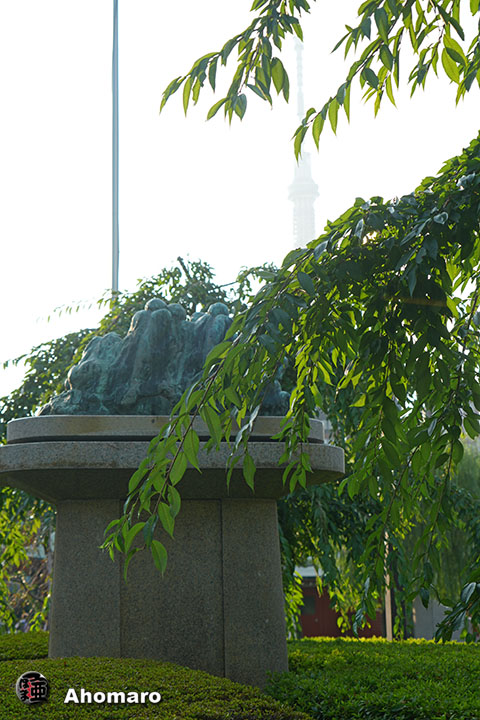 写真00