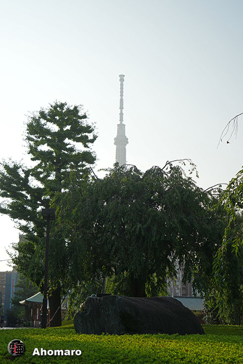 写真00