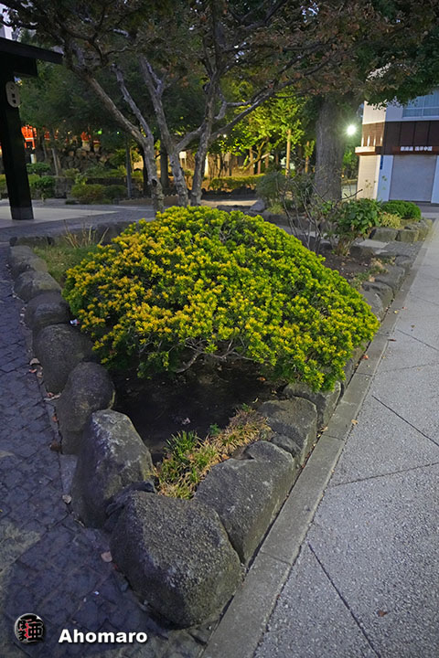 写真00