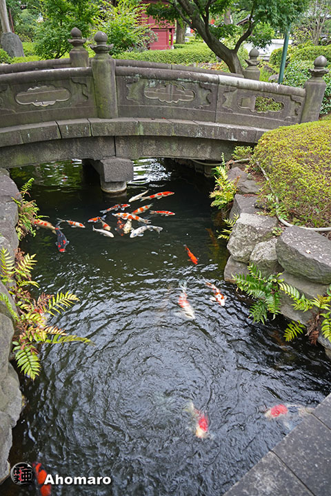 写真00