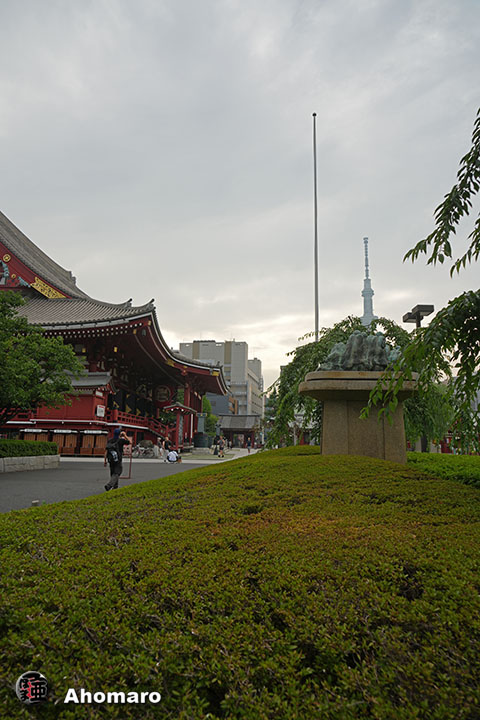 写真00