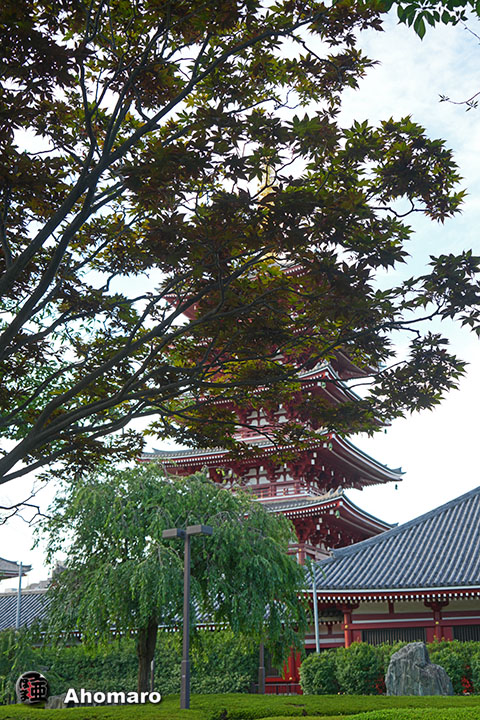 写真00