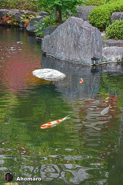 写真00