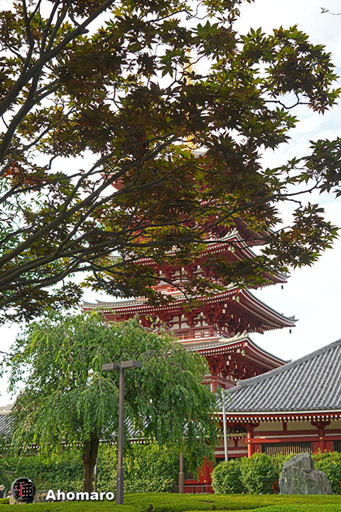 写真00