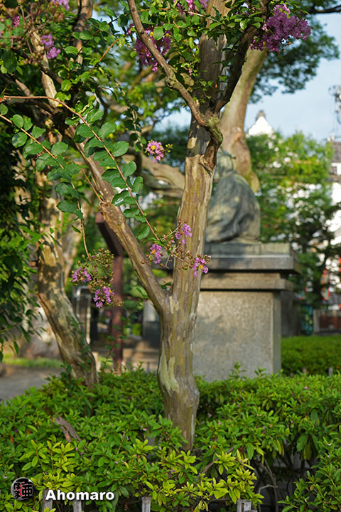 写真00