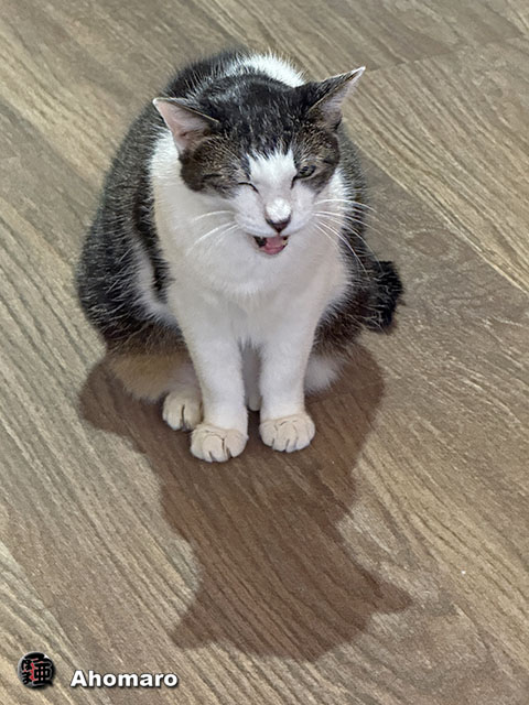 ʐ^00