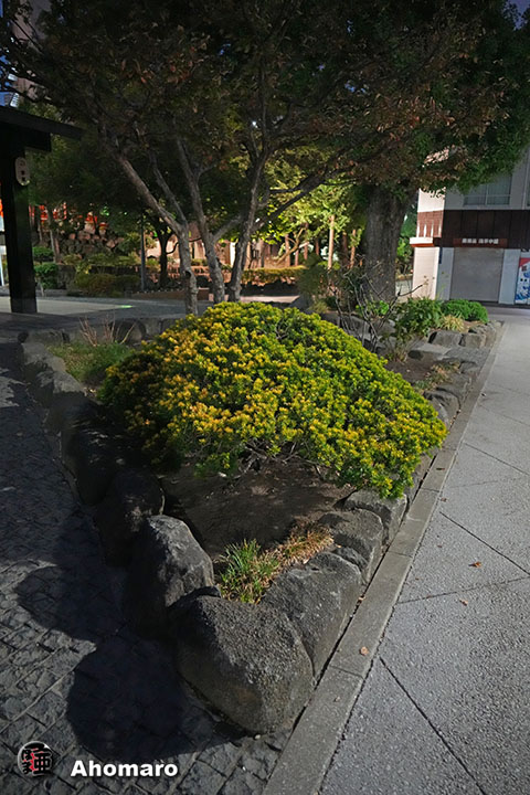 写真00