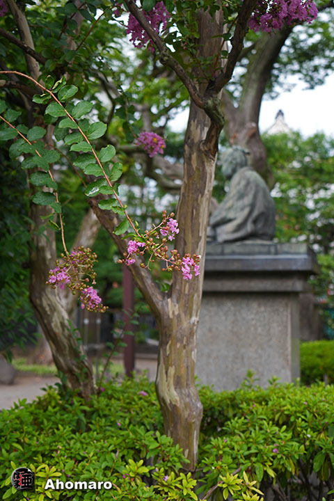 写真00