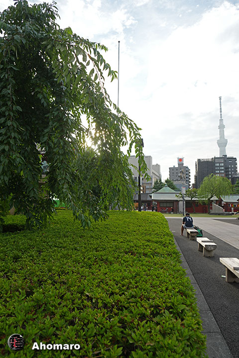 写真00