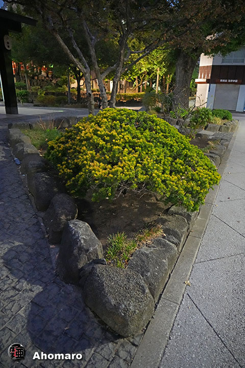 写真00