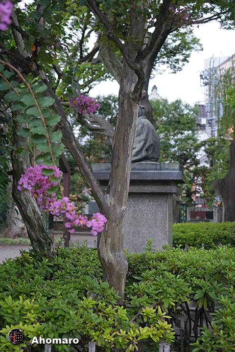写真00