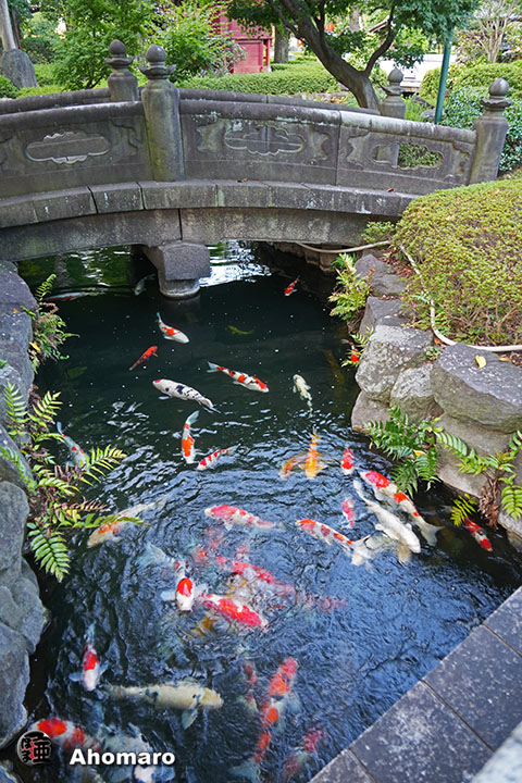 写真00