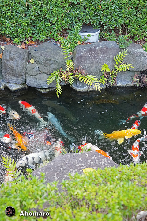 写真00