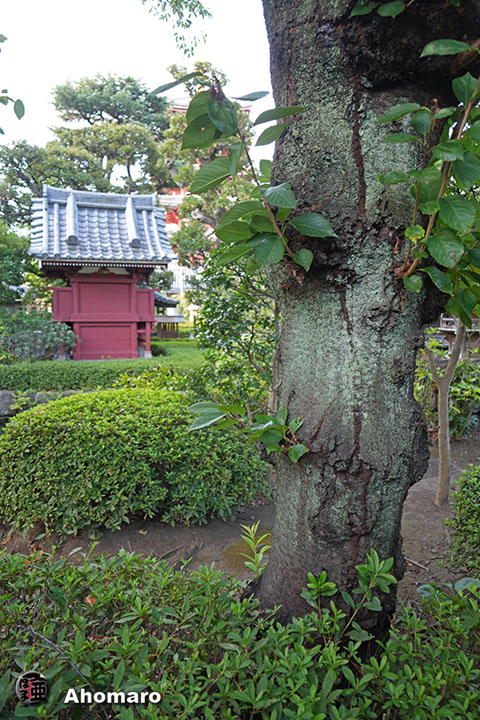 写真00