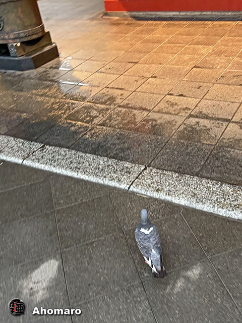 ʐ^00