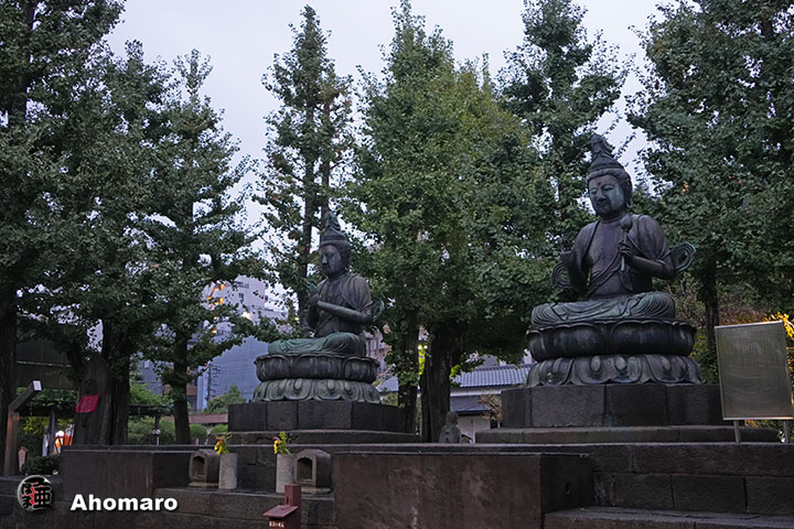 写真00