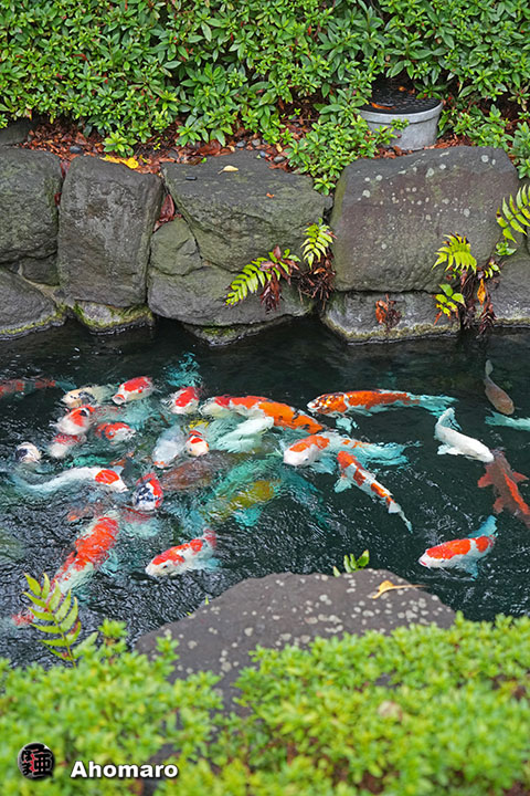 写真00