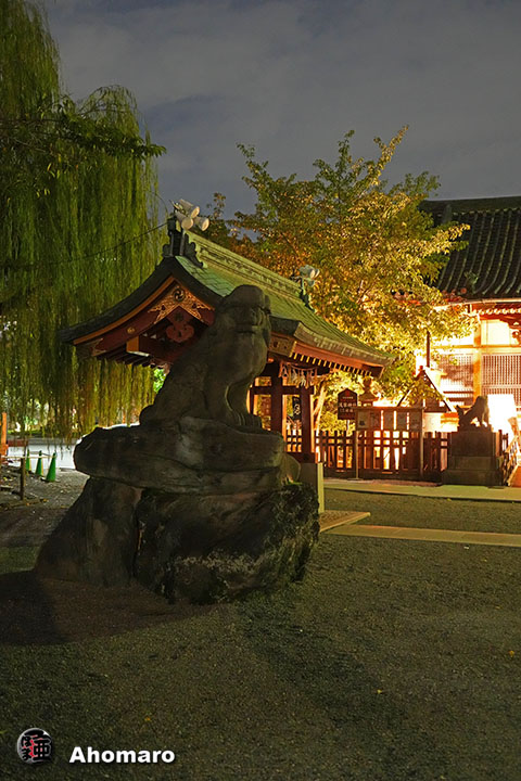 写真00