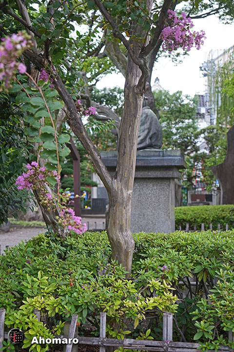 写真00