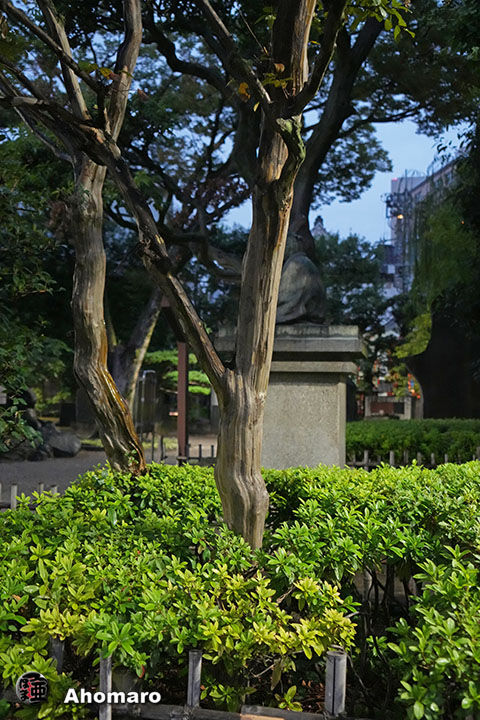 写真00
