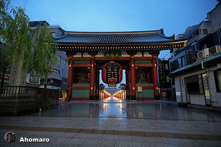 今日の浅草