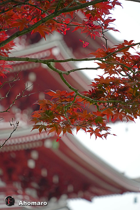 写真00