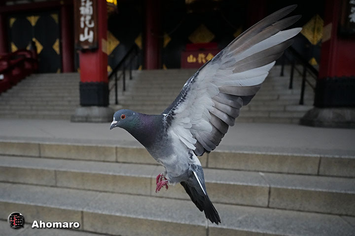 写真00