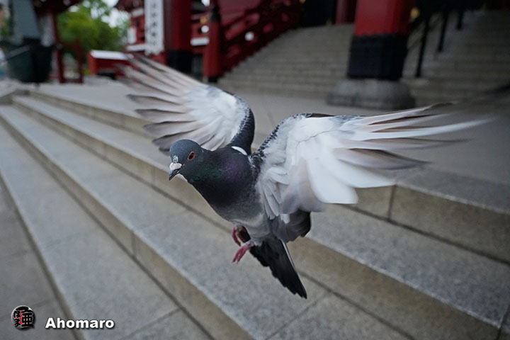 写真00