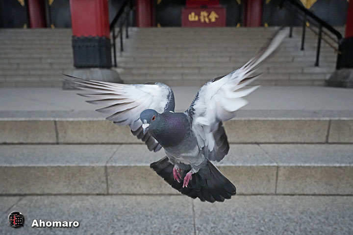 写真00