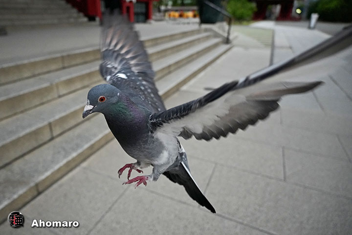写真00
