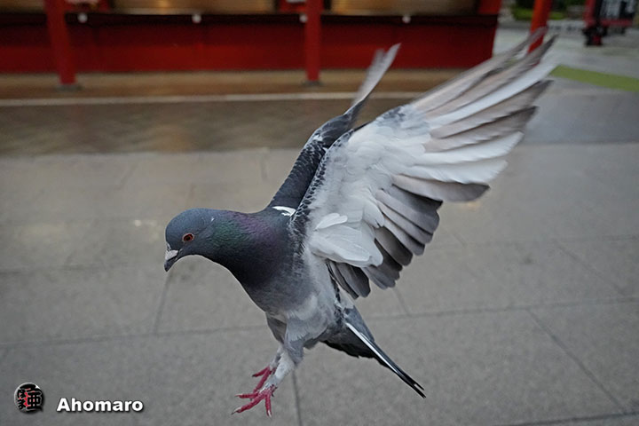 写真00