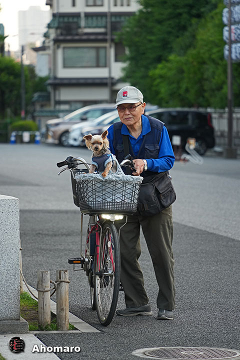。
