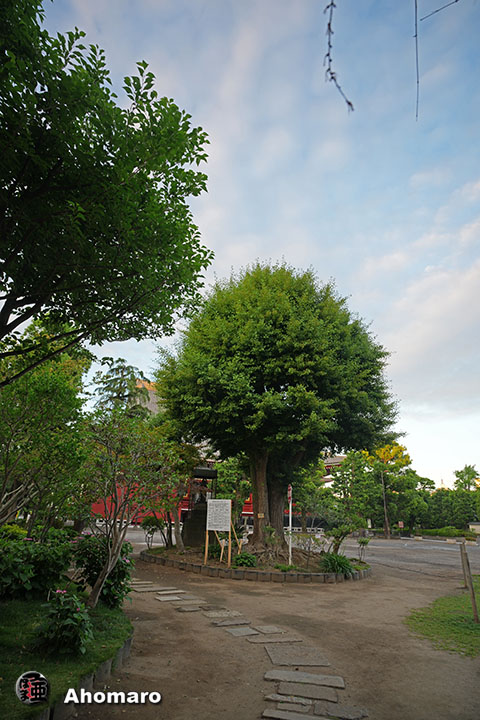 。