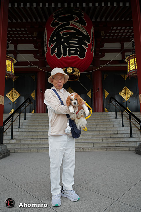 。