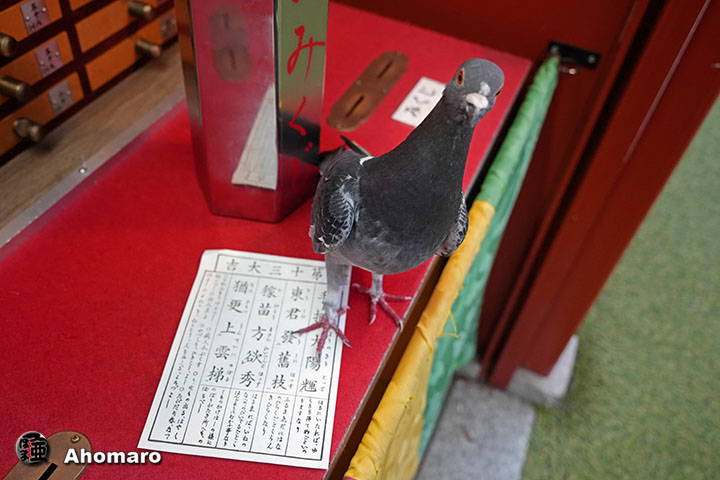 。