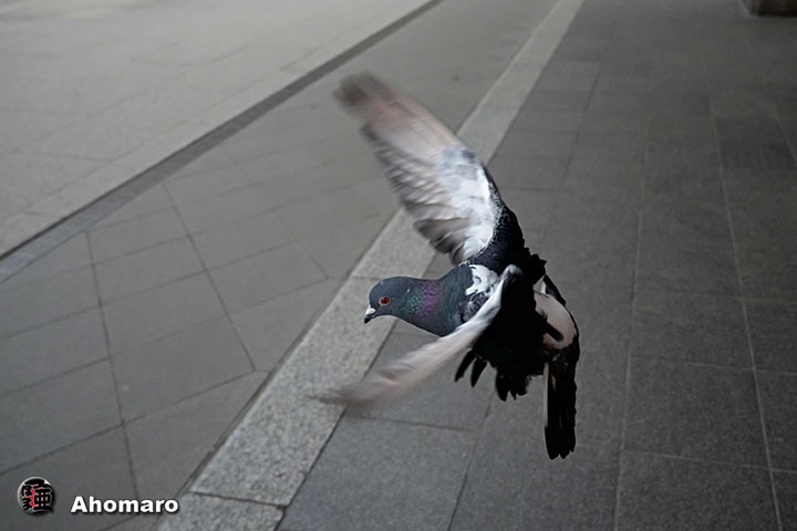 。