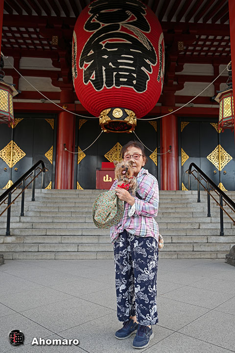 。