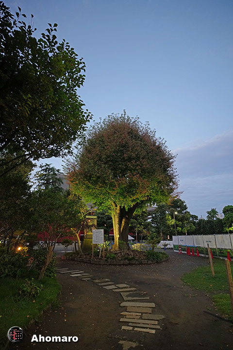 。