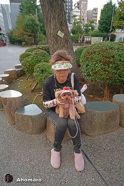 。