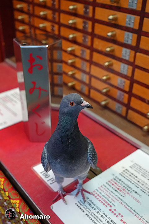 。