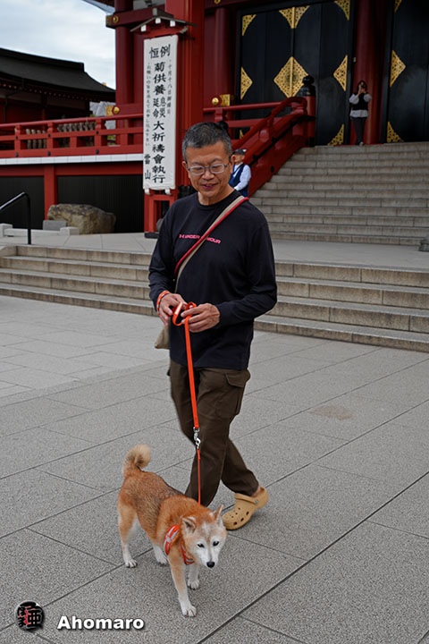 。