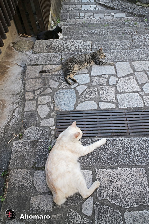 写真00