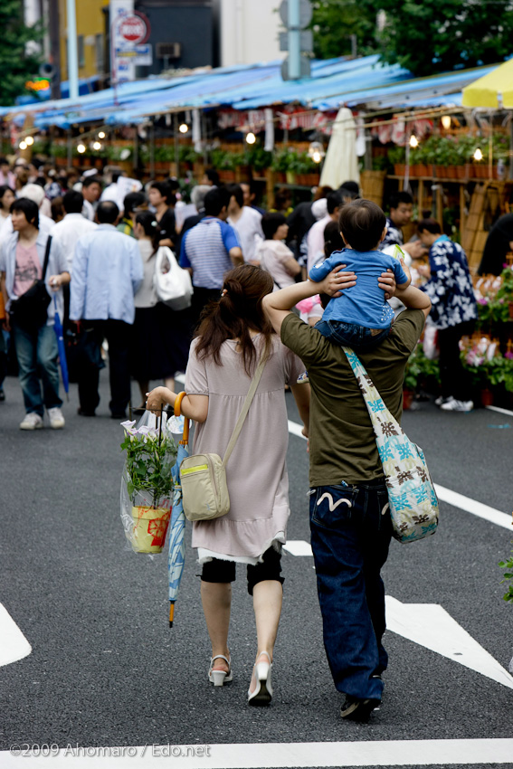 入谷朝顔まつり